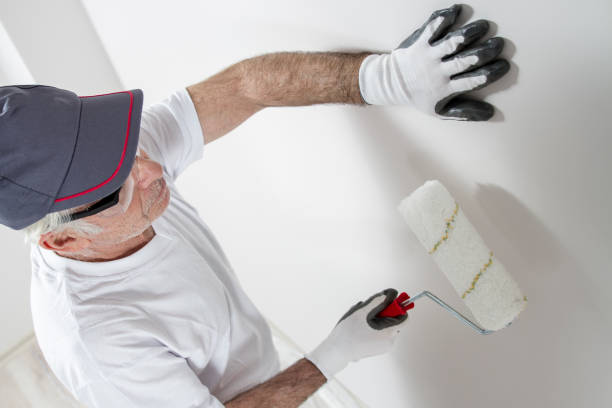 Best Residential Mold Inspection & Testing  in Green Island, NY