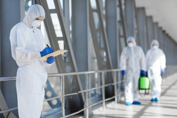 Best Black Mold Removal  in Green Island, NY