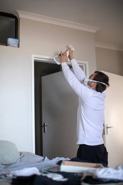 Best Mold Removal for HVAC Installations  in Green Island, NY