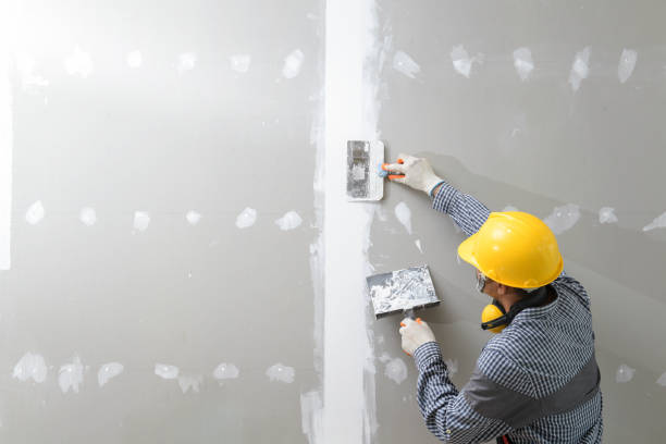 Best Mold Remediation for Healthcare Facilities  in Green Island, NY