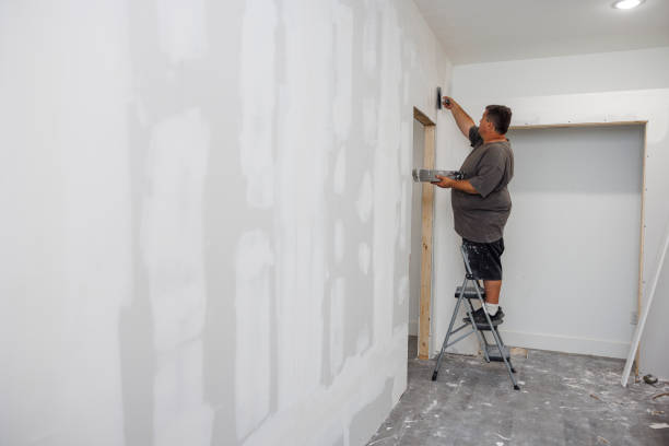 Best Crawl Space Mold Remediation  in Green Island, NY