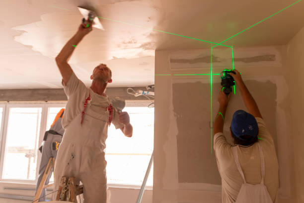 Best Industrial Mold Remediation  in Green Island, NY