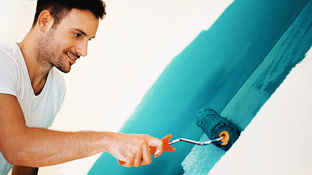 Best Dehumidification Services  in Green Island, NY